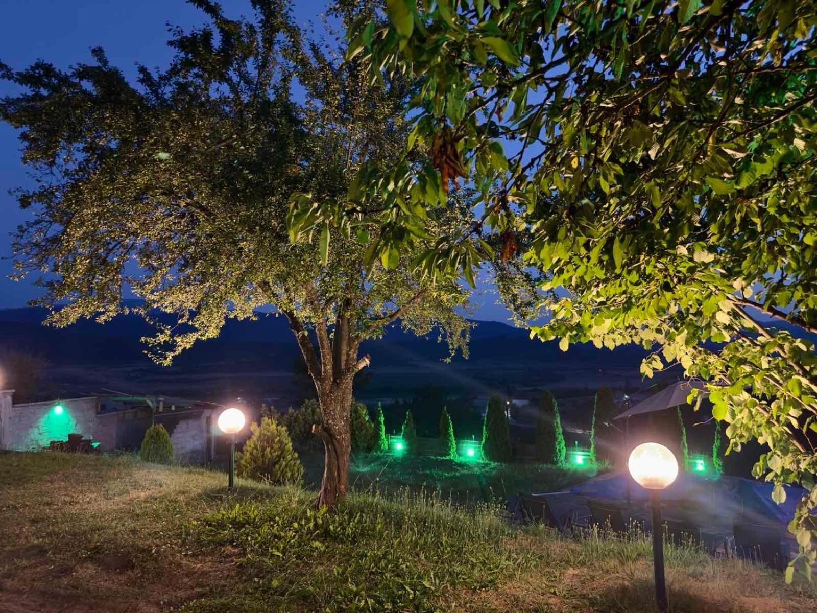 Villa Monte Velingrad Eksteriør billede